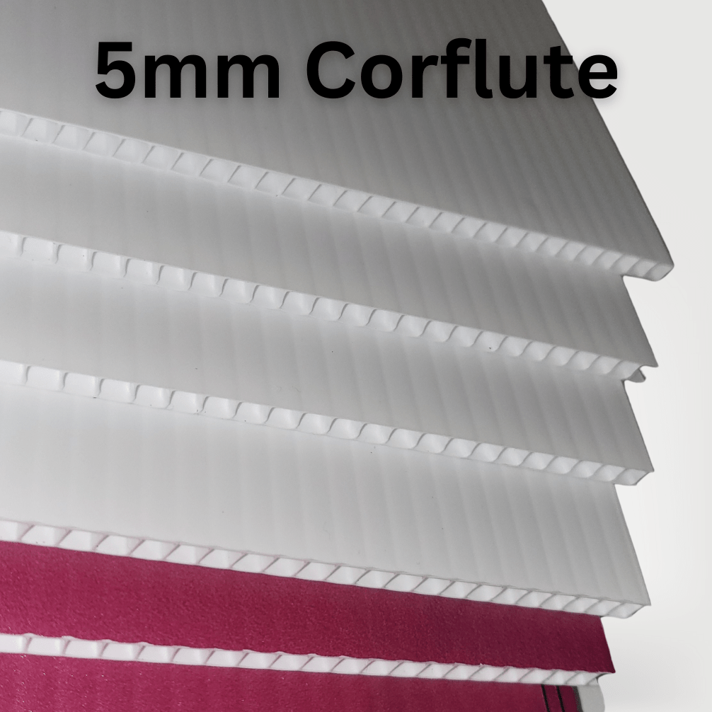 Novelty Cheques - C4 Print