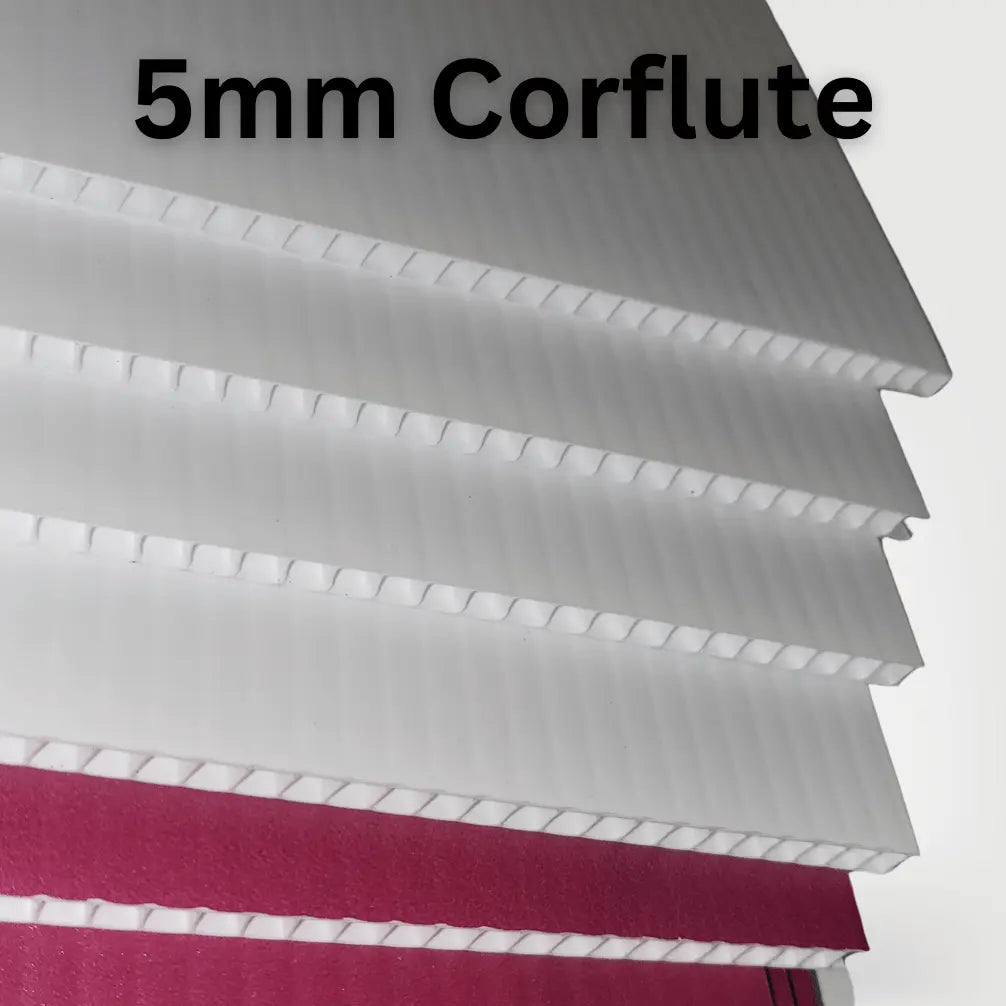 Novelty Cheques - C4 Print